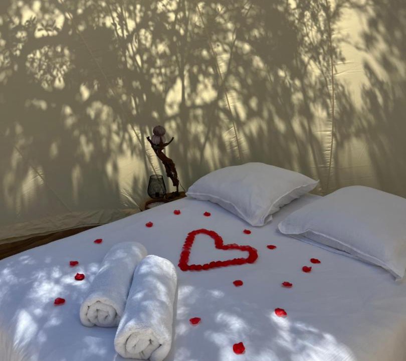 Photo of Others in Galeria