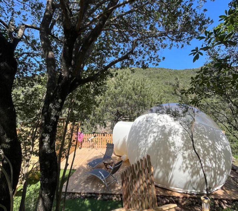 Photo of Others in Galeria