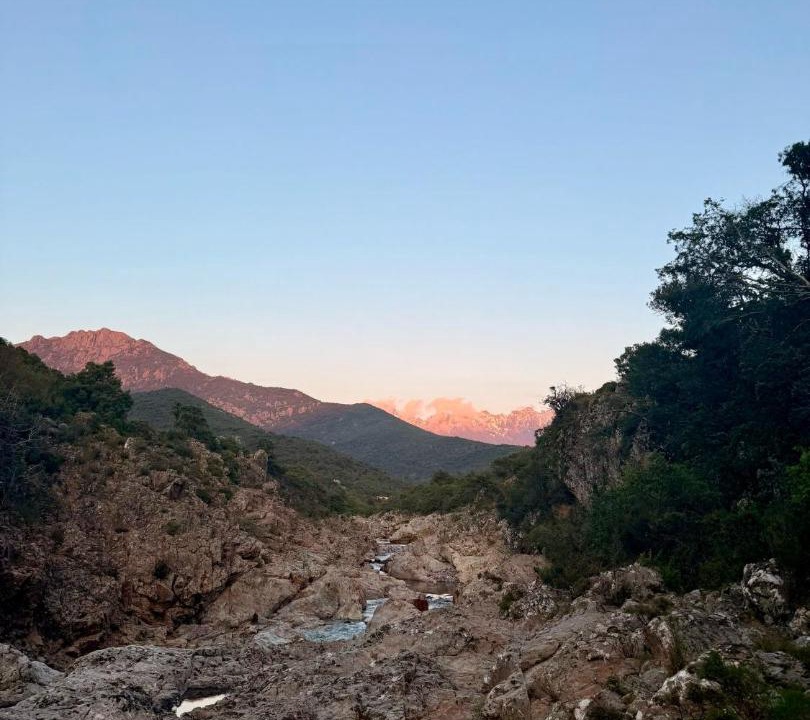 Photo of Others in Galeria