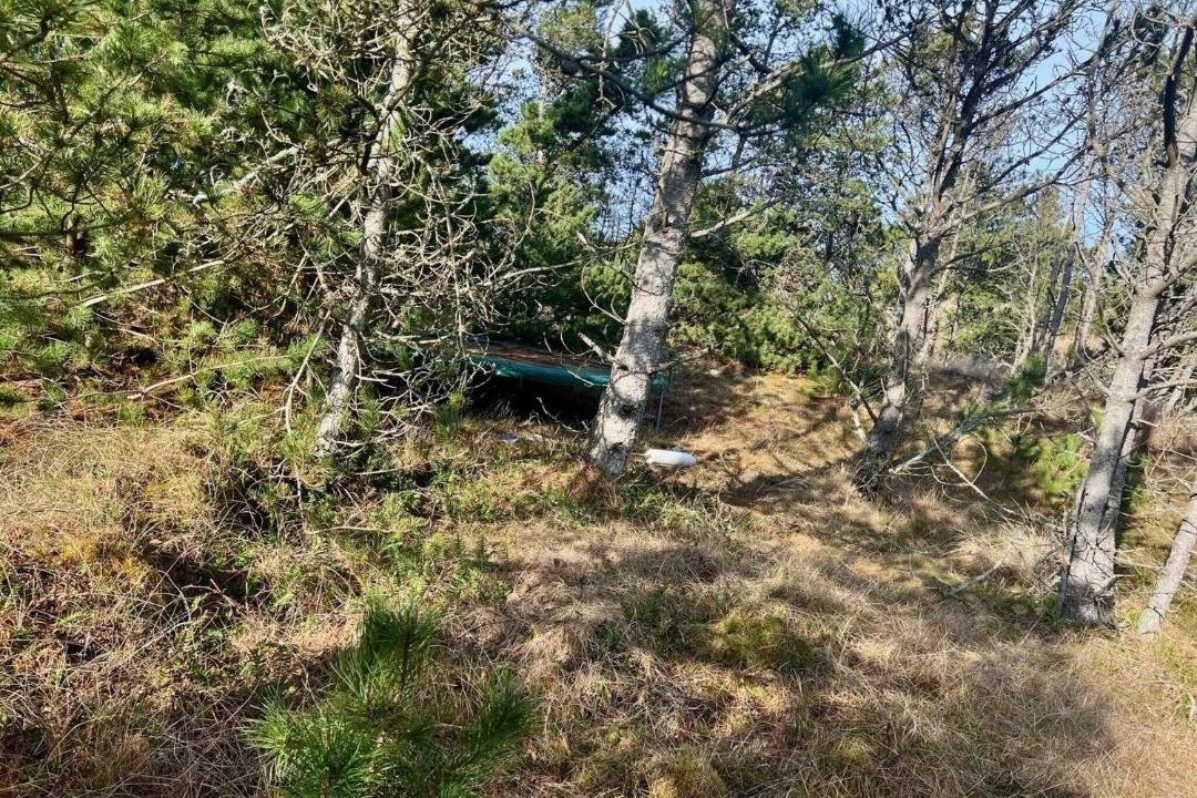 Photo of Others in Lokken