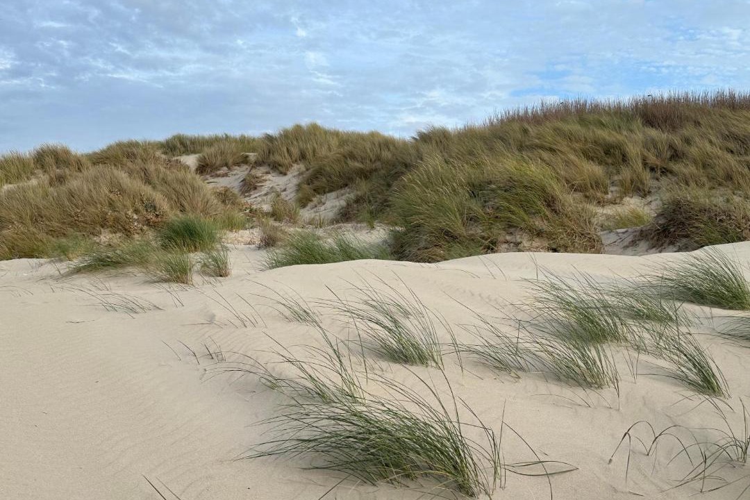 Photo of Others in Merlimont-Plage