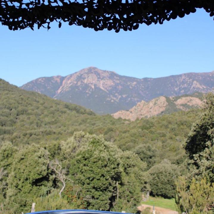 Photo of Others in Cauro