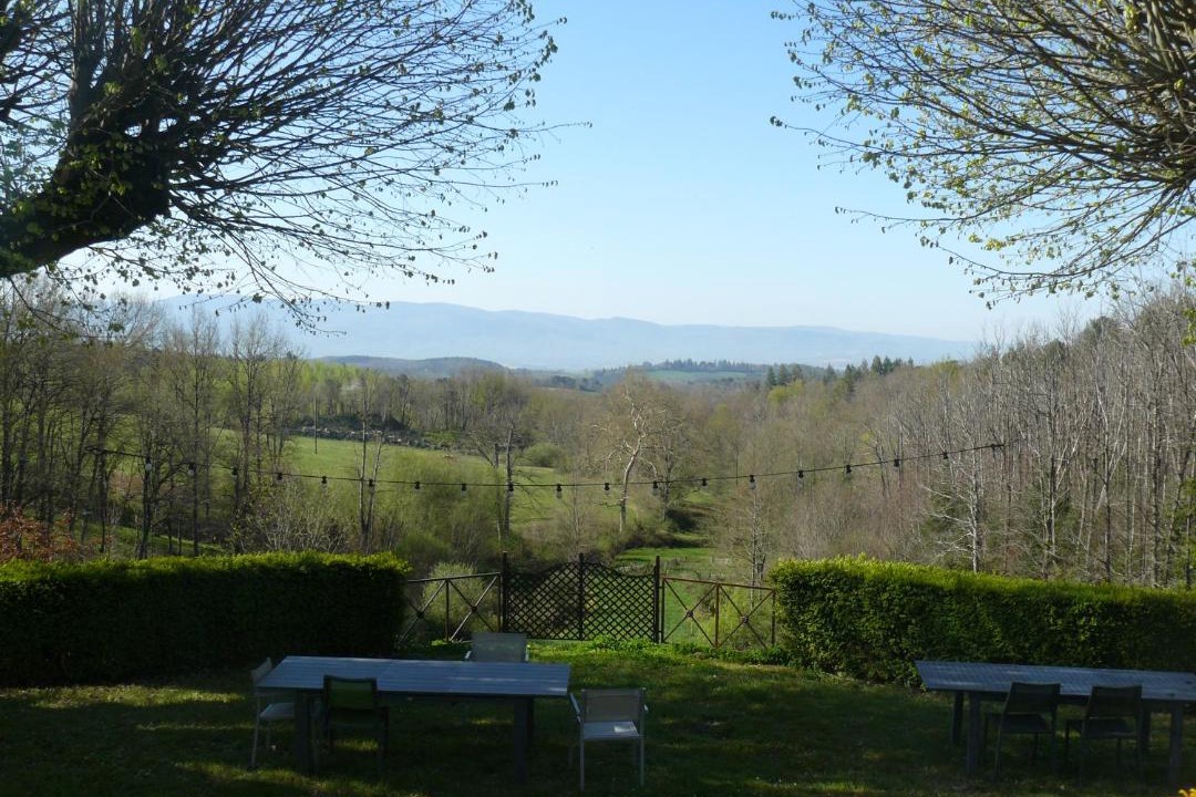 Photo of Others in Burlats