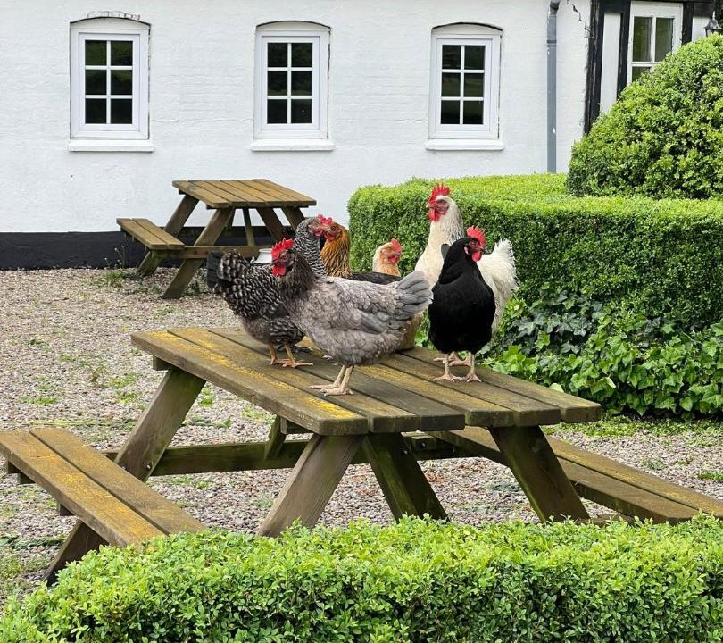 Photo of Others in Ebberup