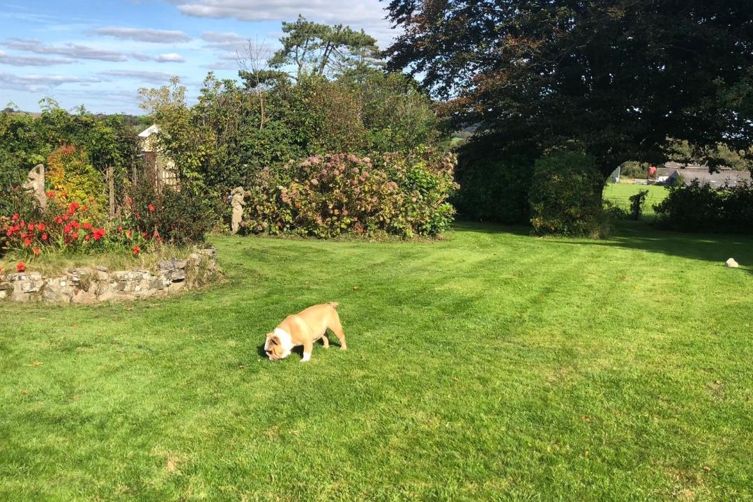 Photo of Others in Narberth