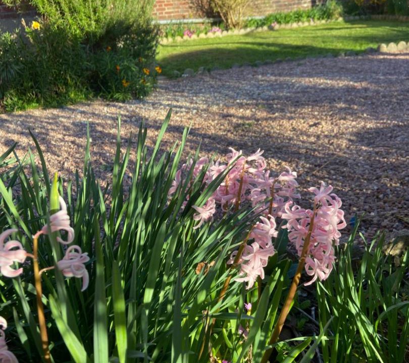 Photo of Outdoor in Fontaine-sur-Somme