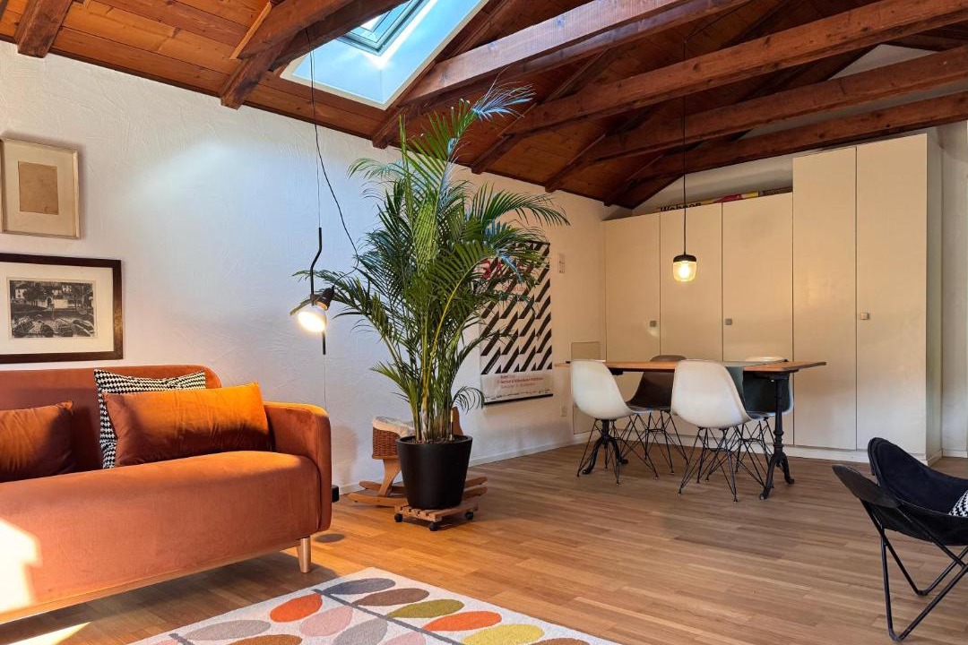 Photo of Livingroom in Minusio