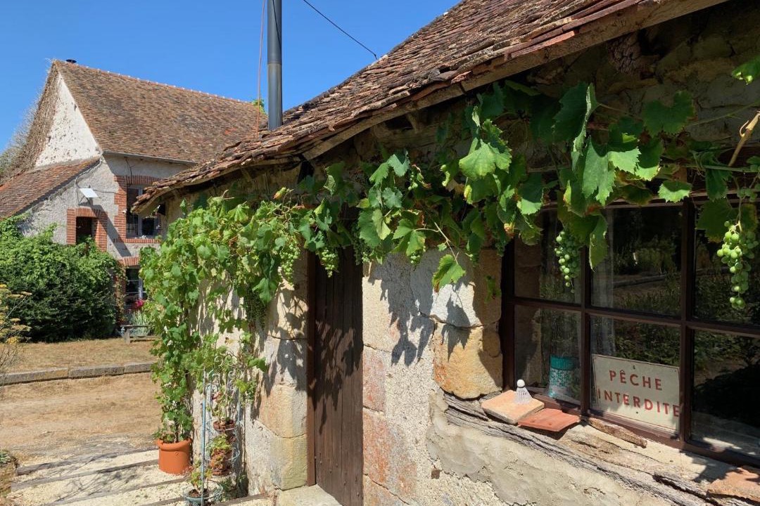 Photo of Others in Brigueil-le-Chantre