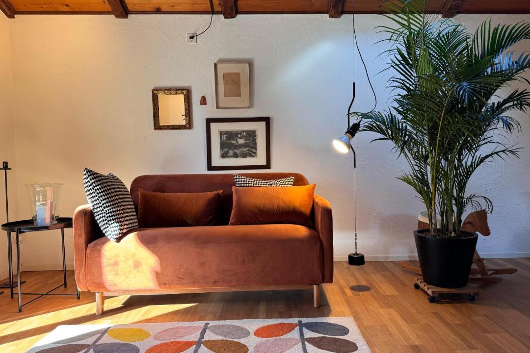 Photo of Livingroom in Minusio