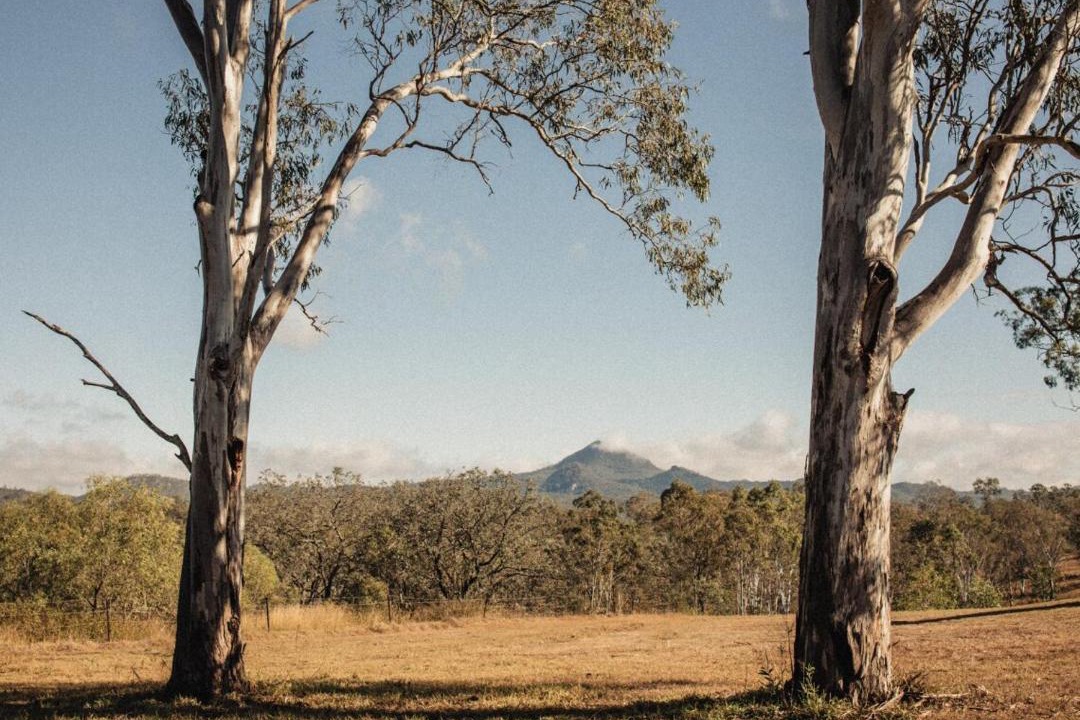 Photo of Others in Flinders Lakes