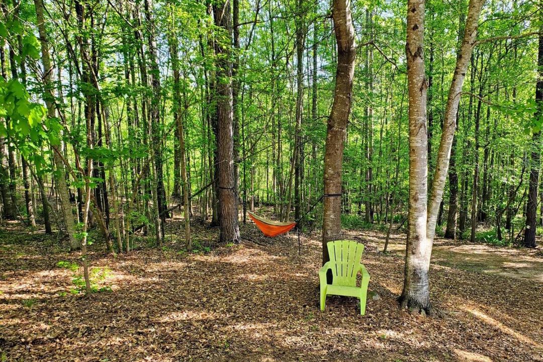 Photo of Others in Fayetteville