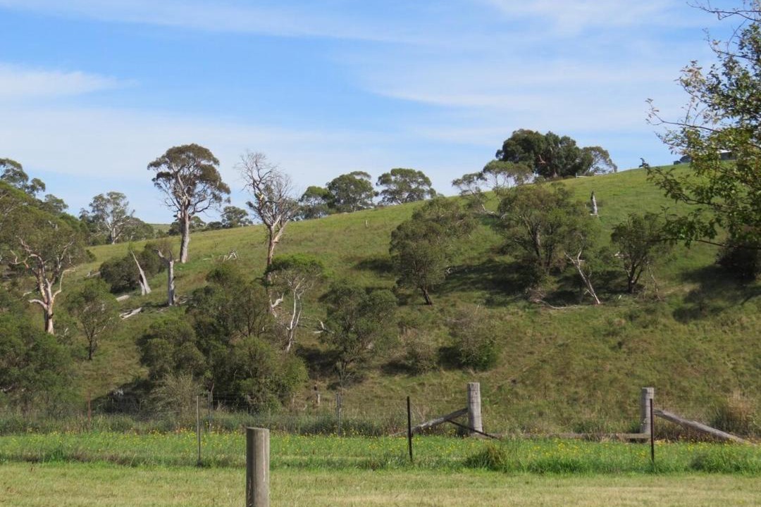 Photo of Others in Bombala