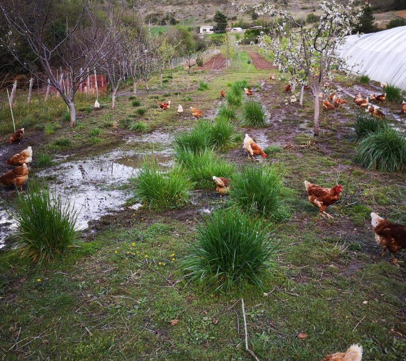Photo of Others in Banon
