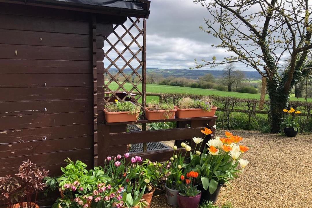 Photo of Others in Stow-on-the-Wold