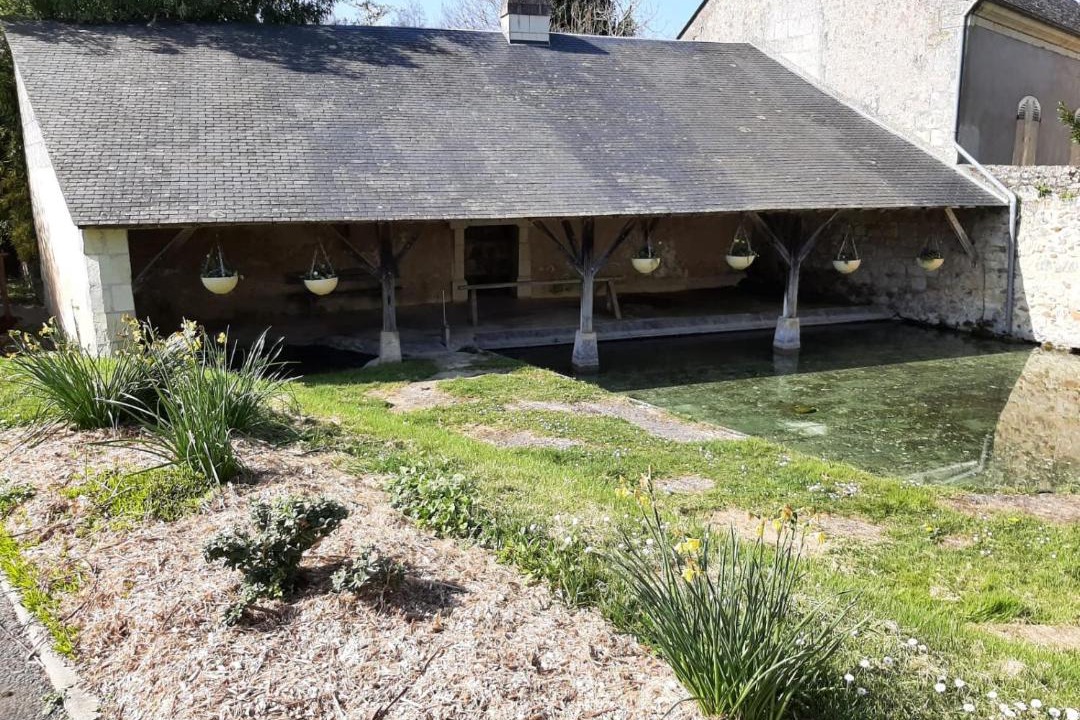 Photo of Others in Gennes-Val-de-Loire