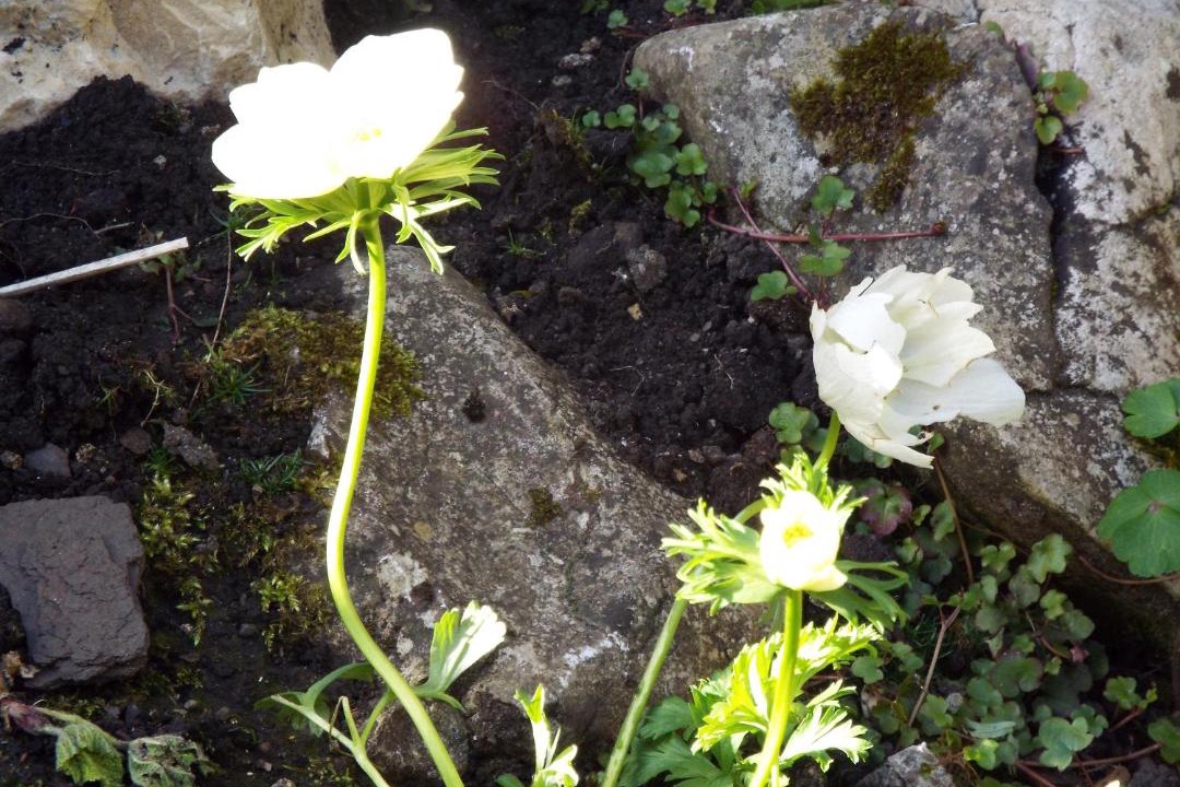 Photo of Outdoor in Pateley Bridge