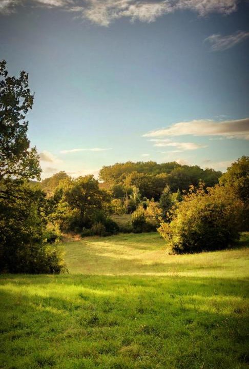 Photo of Others in Lamillarie