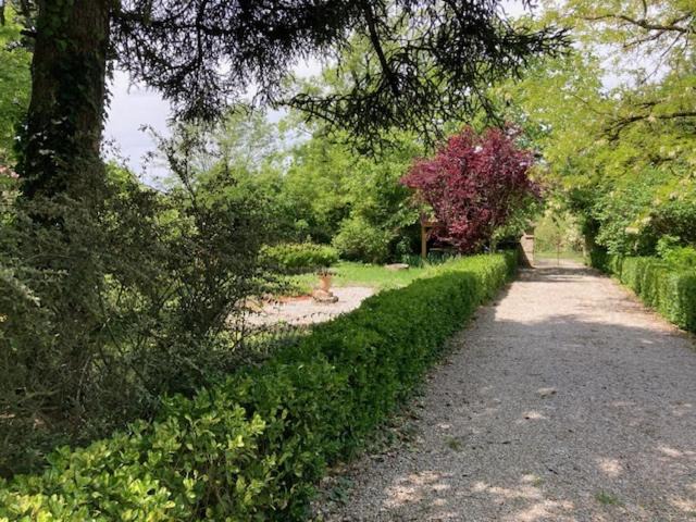 Photo of Others in Lamillarie