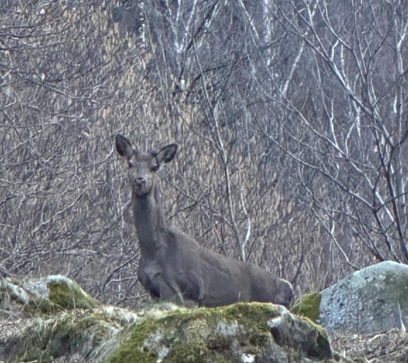 Photo of Others in Lavertezzo