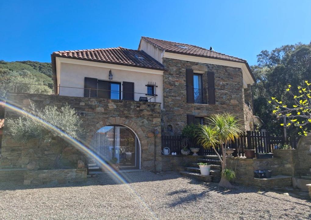 Photo of Others in Patrimonio