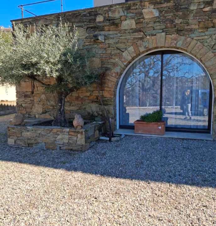 Photo of Others in Patrimonio