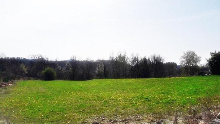 Photo of Others in Bort-les-Orgues