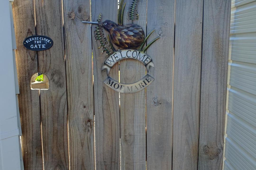 Photo of Others in Turangi