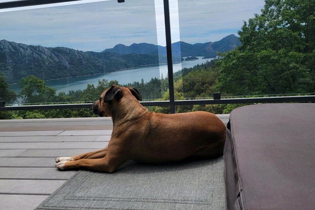 Photo of Others in Lakehead