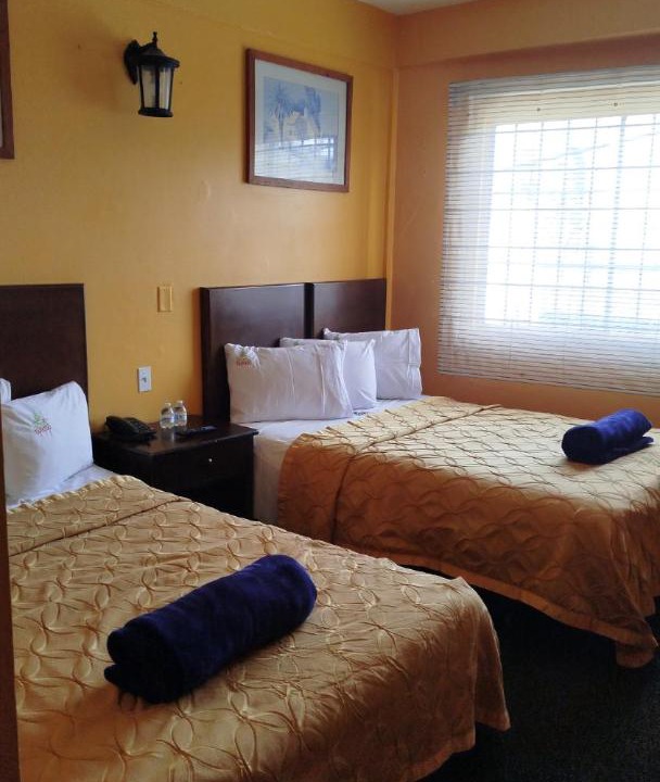 Photo of Others in La Joya