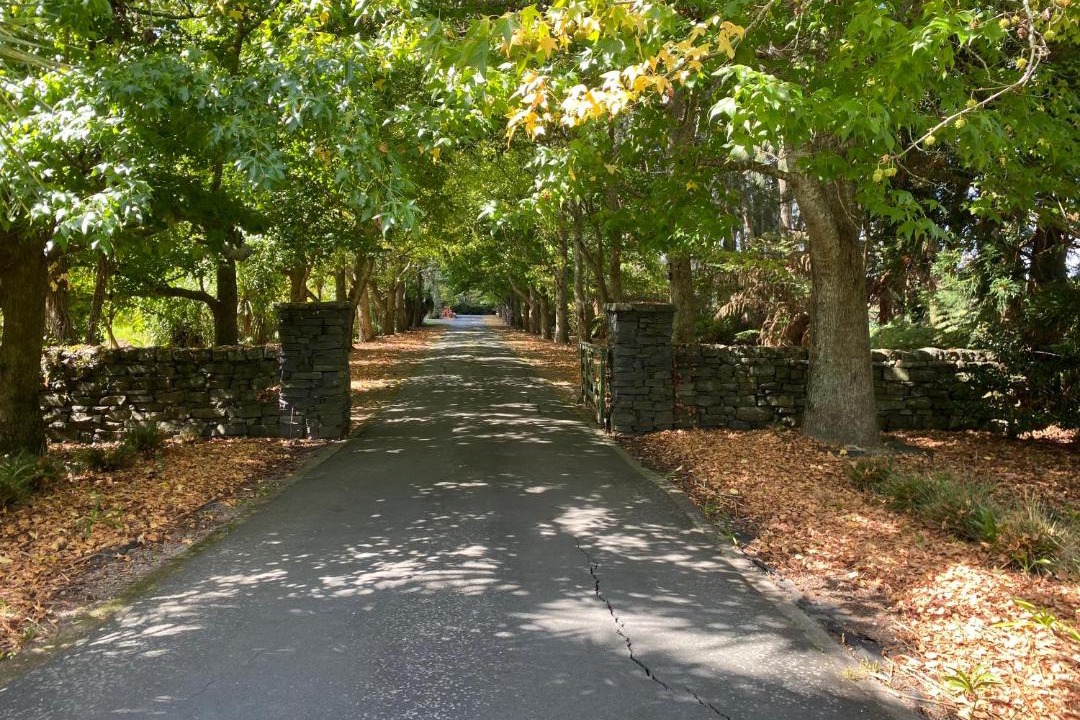 Photo of Others in Kumeu