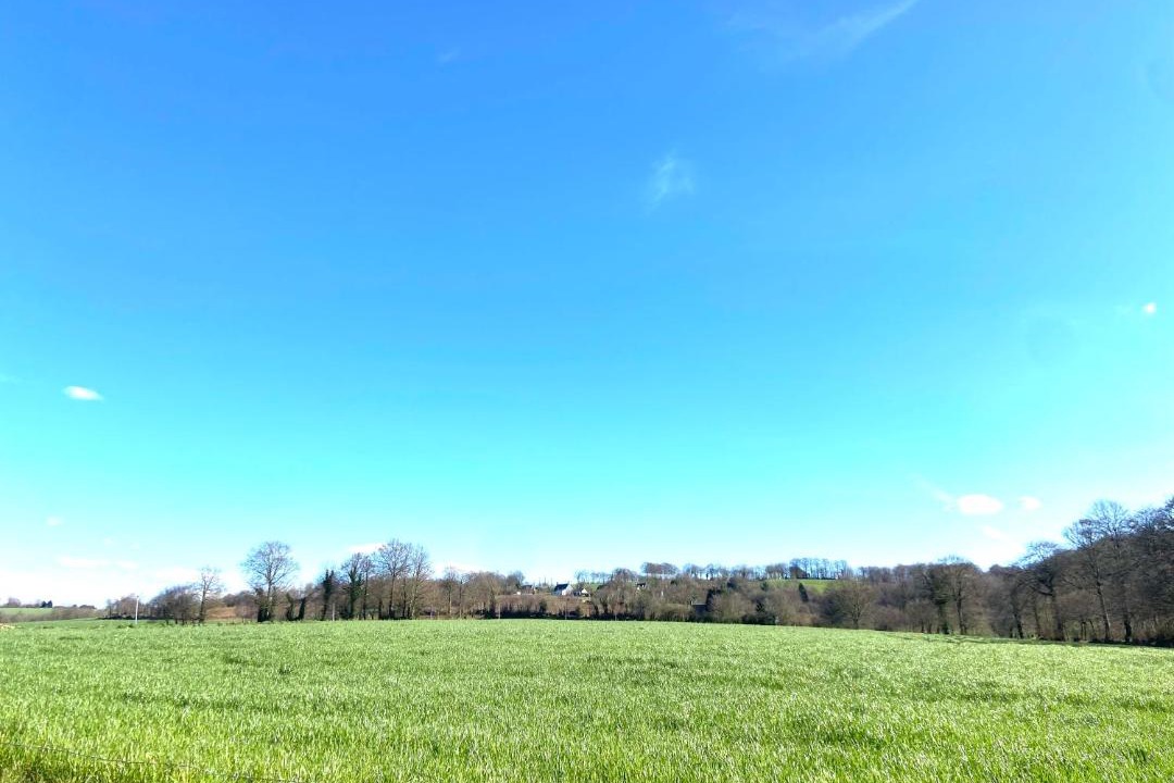 Photo of Others in Sourdeval