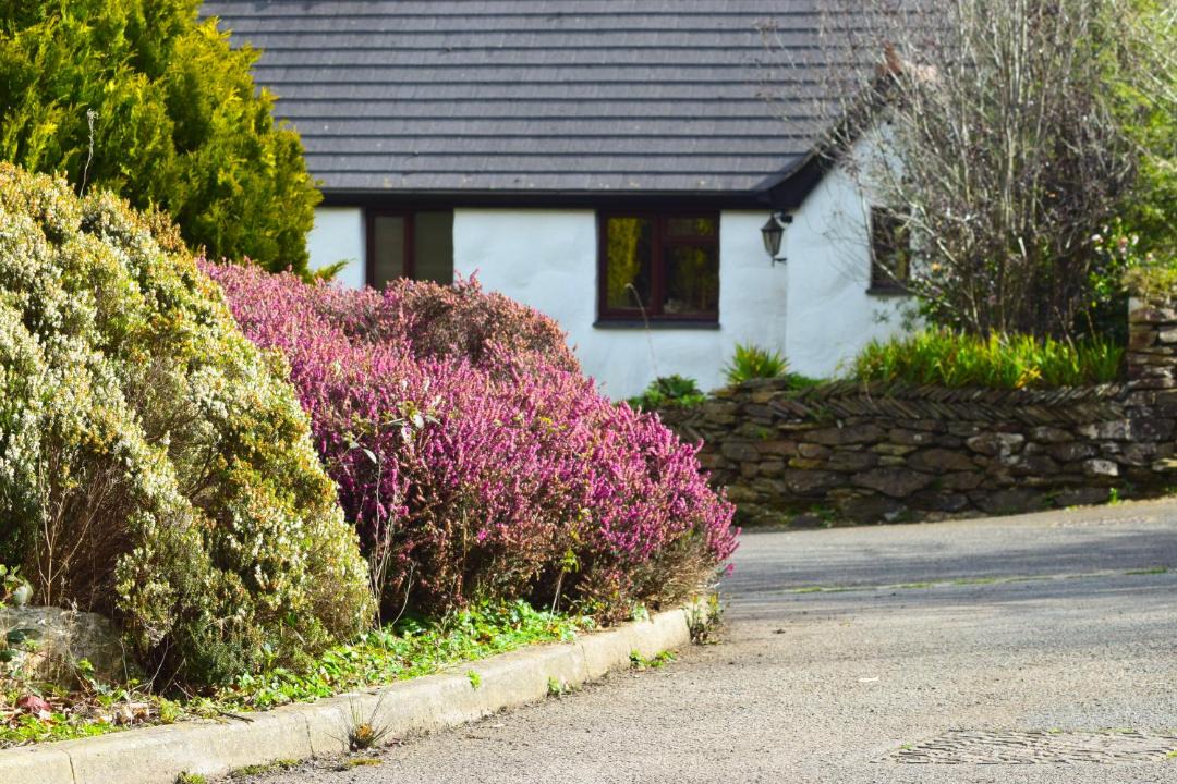 Photo of Others in St Wenn