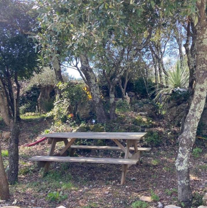 Photo of Others in Causse-de-la-Selle