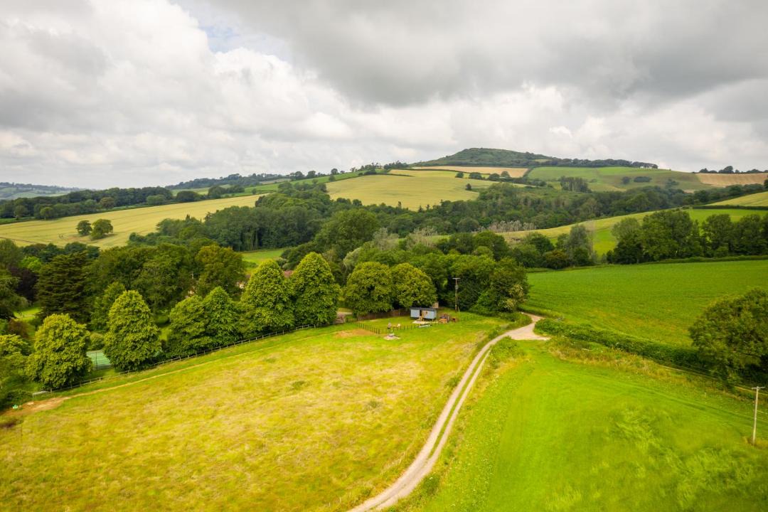 Photo of Others in Bridport