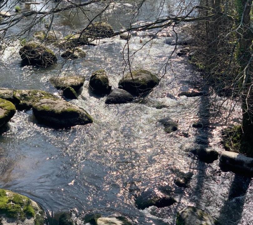 Photo of Others in Mortagne-sur-Sevre