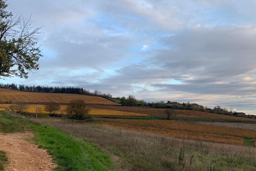 Photo of Others in Charnay