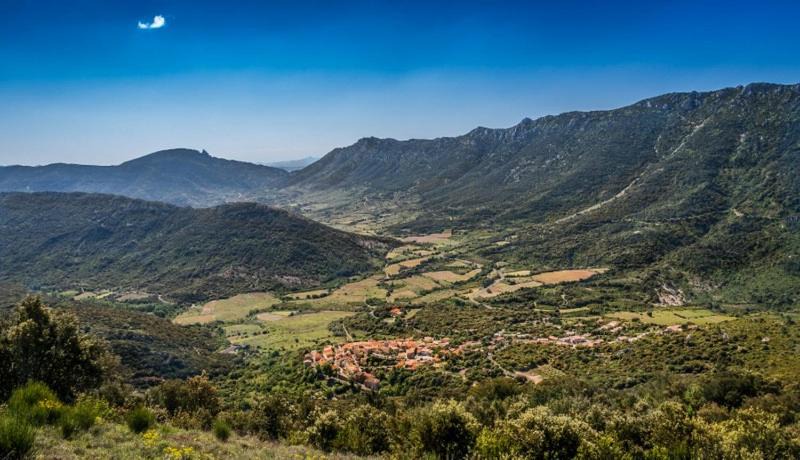 Photo of Others in Duilhac-sous-Peyrepertuse