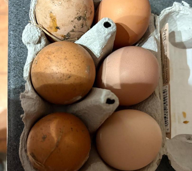 Photo of Others in Winterbourne