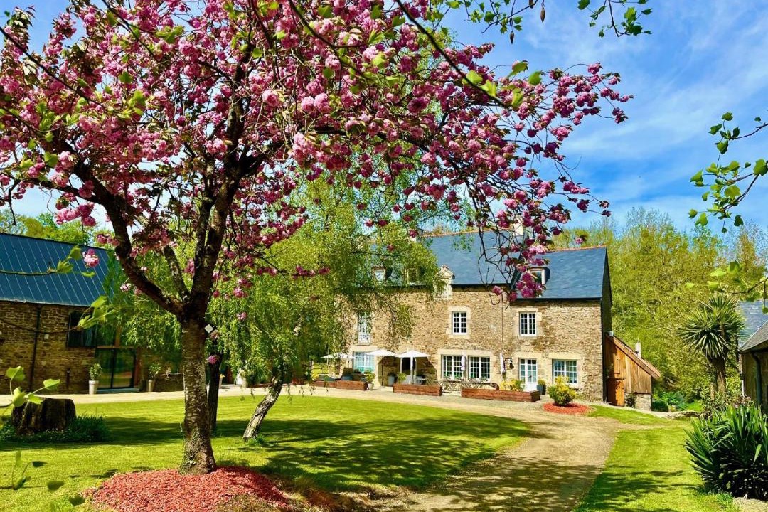 Photo of Others in Les Champs-Geraux