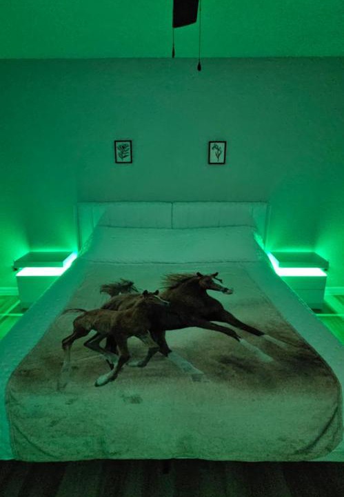 Photo of Others in Silver Springs Shores