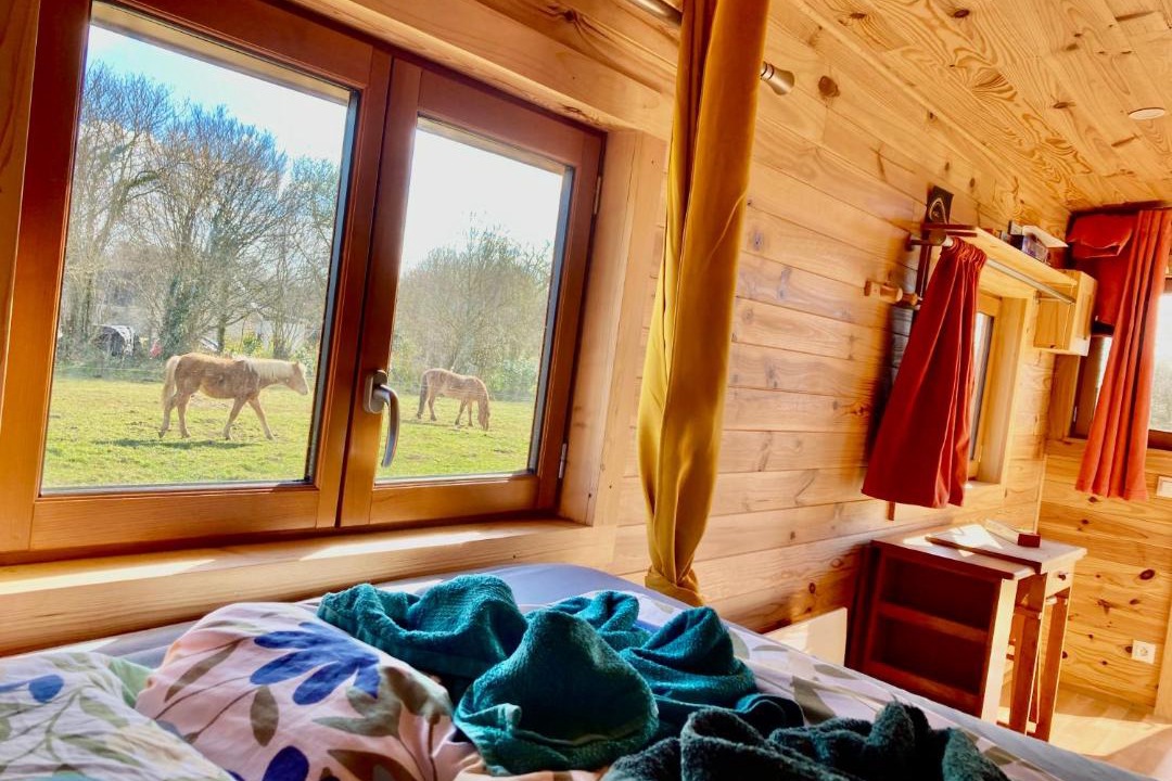 Photo of Bedroom in La Chapelle-Cecelin