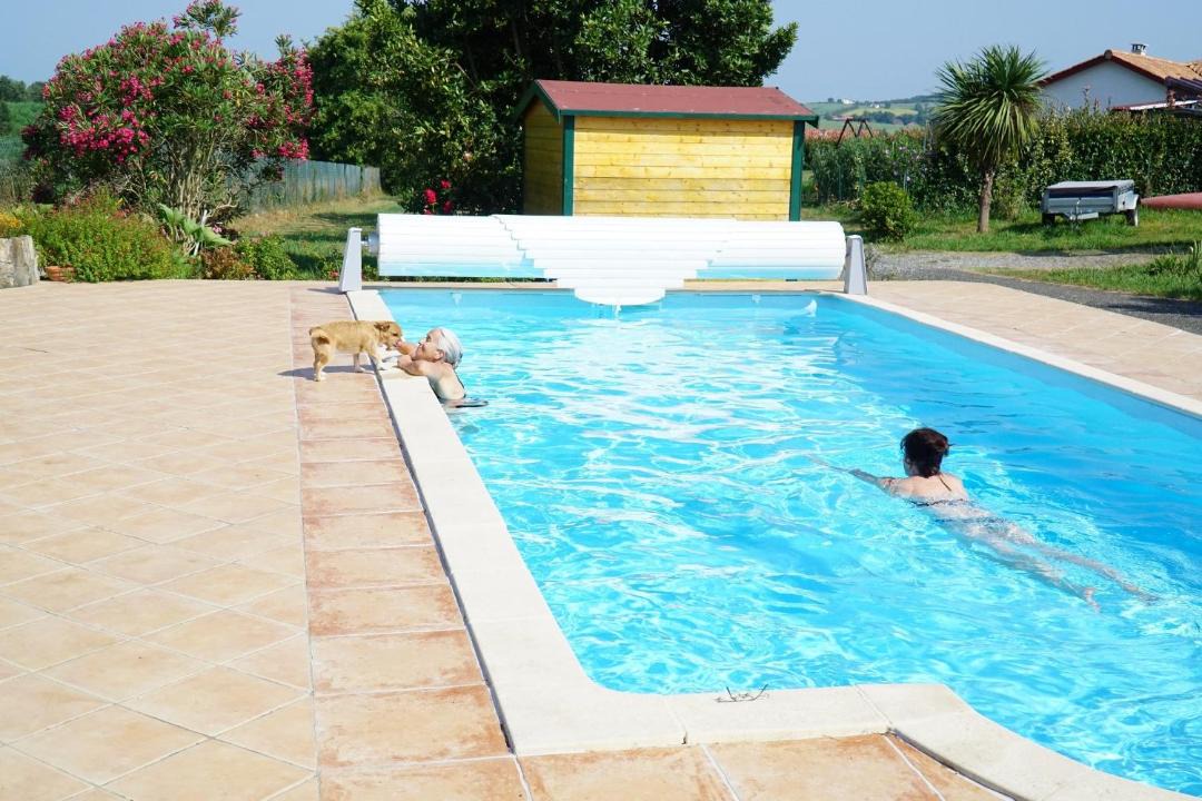 Photo of Others in Came