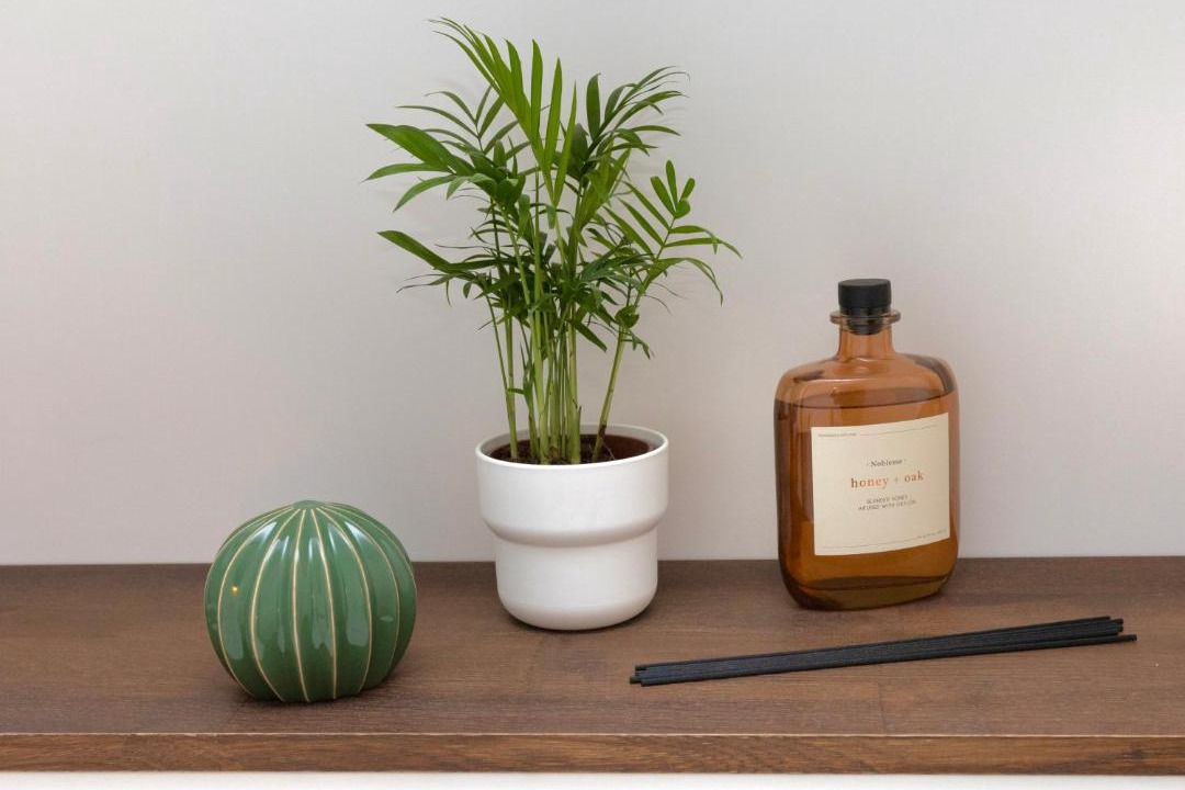 Photo of Others in Apt