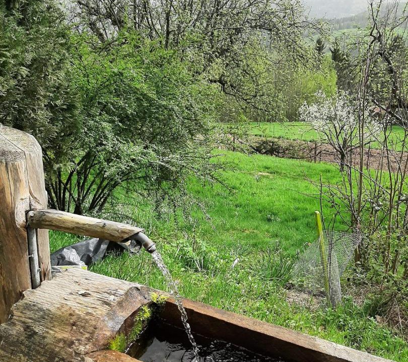 Photo of Others in Muhlbach-sur-Munster