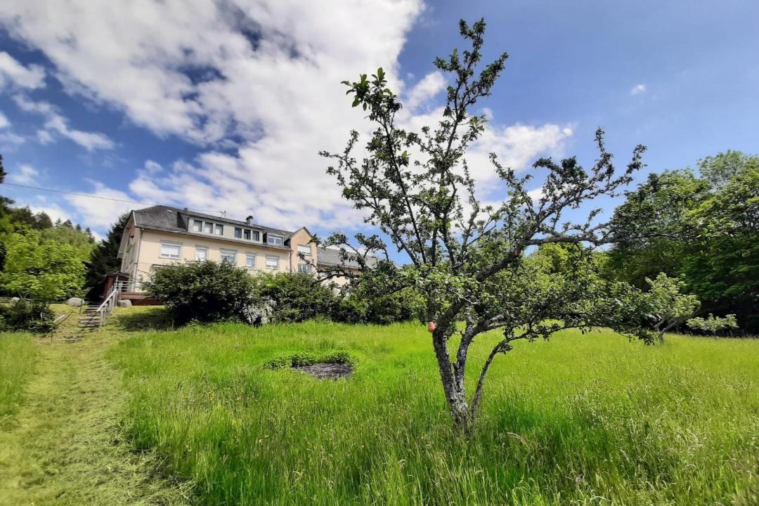 Photo of Others in Muhlbach-sur-Munster