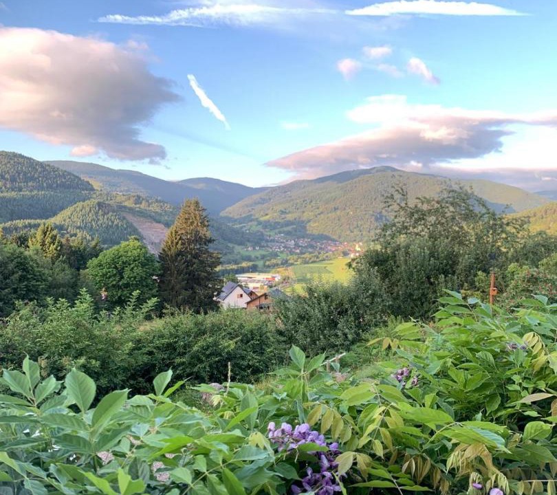 Photo of Others in Muhlbach-sur-Munster