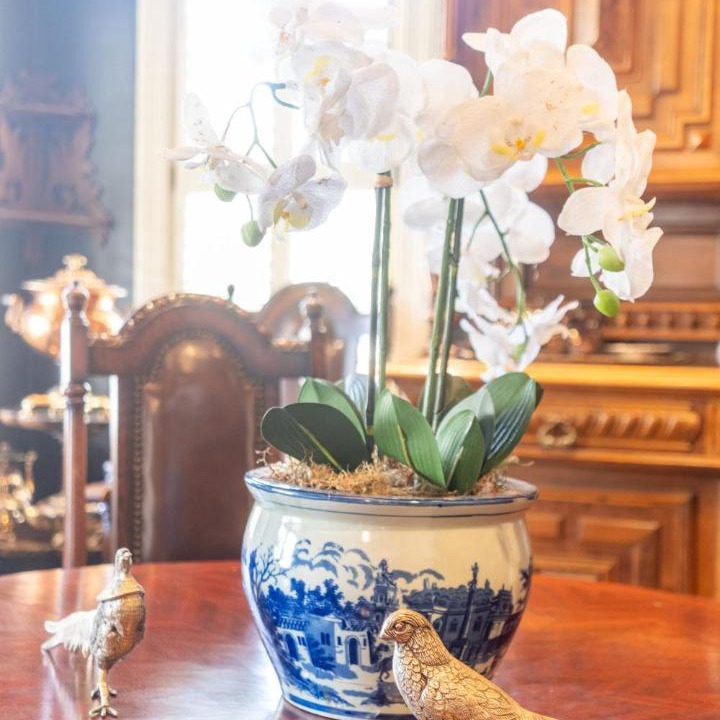 Photo of Others in University District