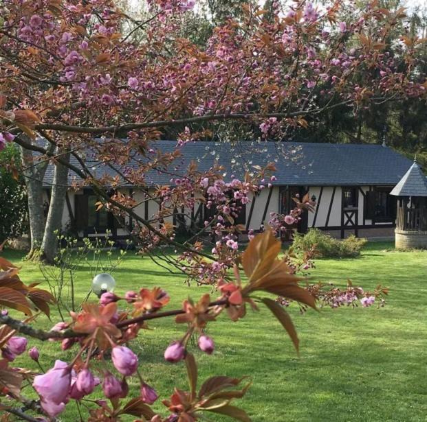 Photo of Others in Saint-Hellier