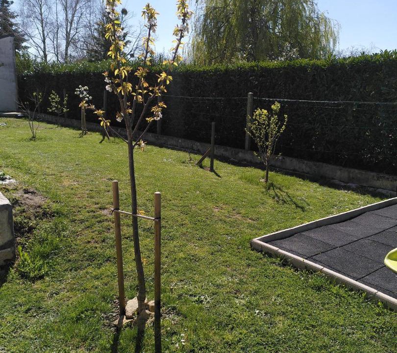 Photo of Outdoor in Amboise
