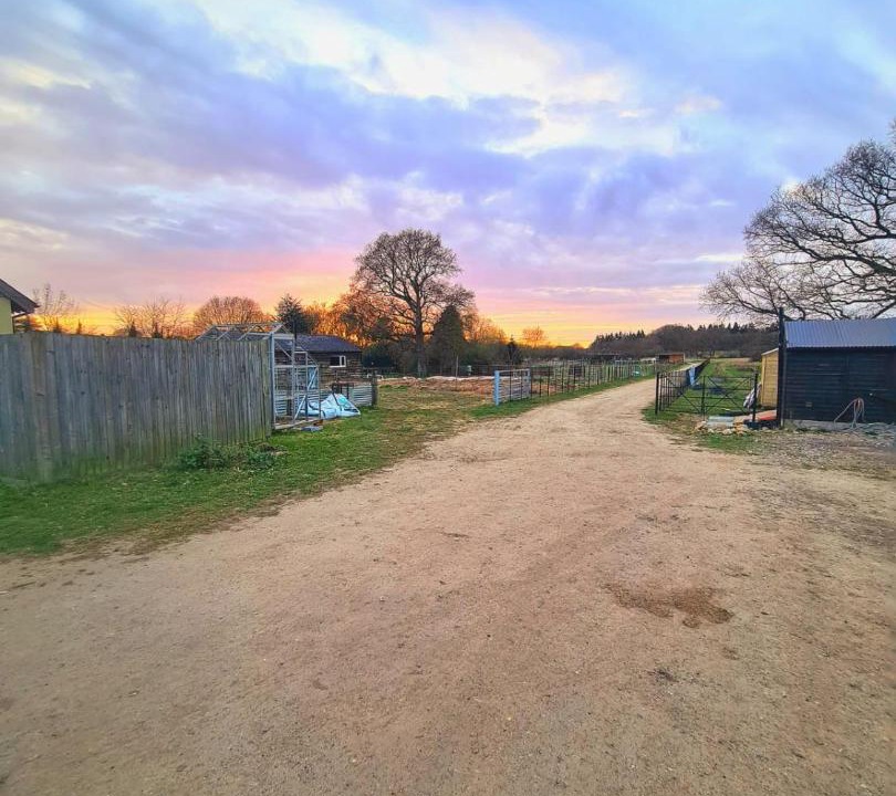 Photo of Others in Ashford